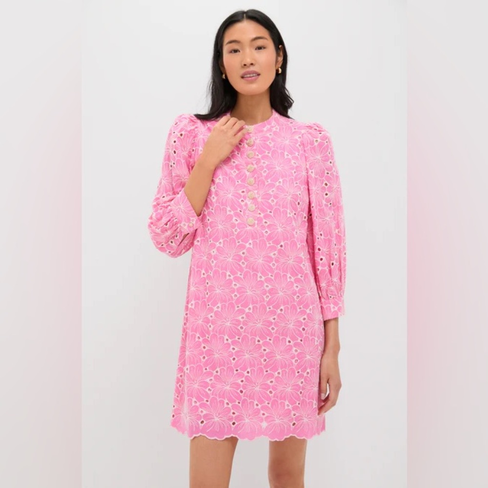 Tuckernuck Pink Eyelet Long-Sleeve Shift Dress